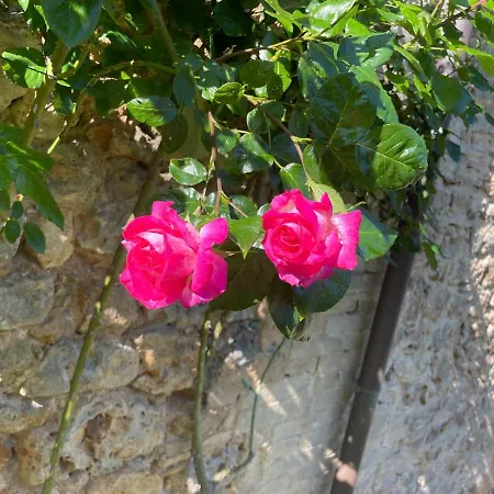 Vakantieboerderij Castel Pietraio Wineresort