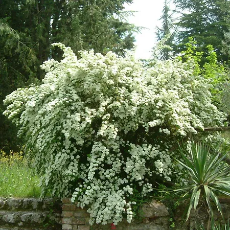 Vakantieboerderij Castel Pietraio Wineresort