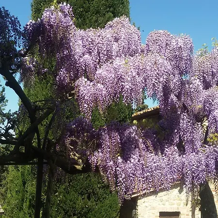 Castel Pietraio Wineresort Monteriggioni