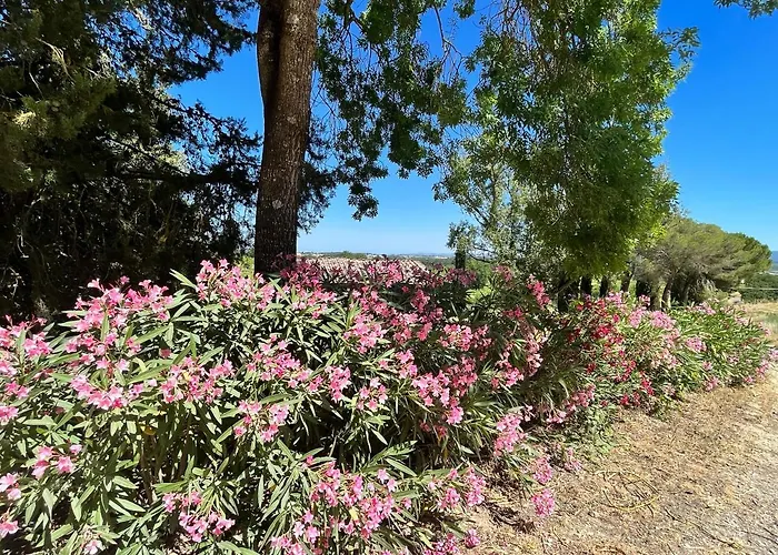 Castel Pietraio Wineresort *