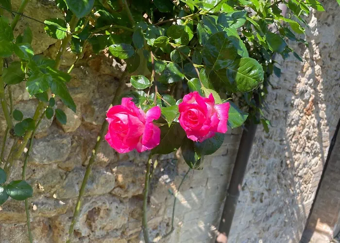 Vakantieboerderij Castel Pietraio Wineresort