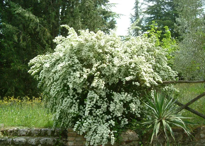 Vakantieboerderij Castel Pietraio Wineresort